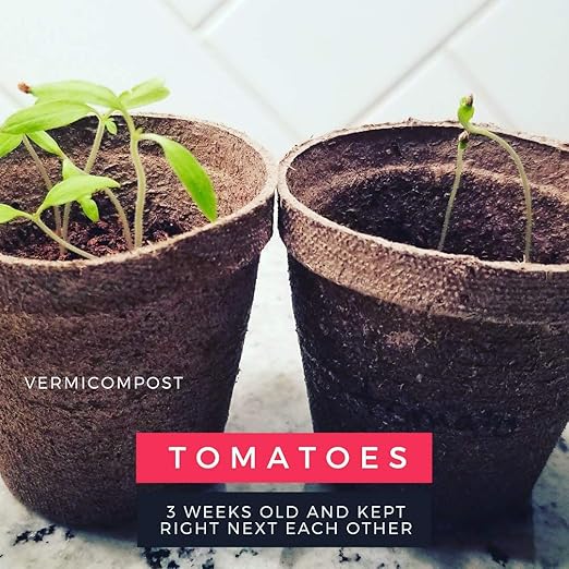 Elm Dirt Worm Castings for Plants - Worm Castings Organic Fertilizer | 100% Organic Plant Food for Houseplants, Gardening, Shrubs & Bushes, Root Growth and Micro Nutrients - Earthworm Casting, 2 lbs