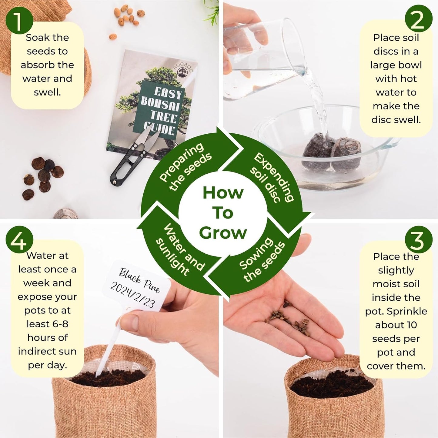 Premium Bonsai Tree kit - 10 Types Bonsai Tree Growing Set for Starter with Soil, Pots, Scissor, Plant Makers, Grow Greenery Indoor, Beginner Planting Kit Plant Gifts