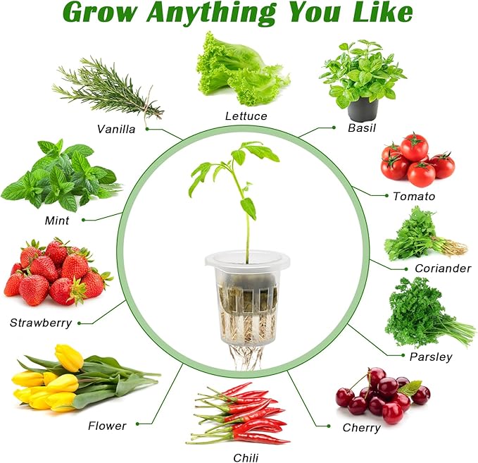 100 Pcs Rockwool Cube for Hydroponics with Net Pot, 50P 1Inch Rockwool Stonewool Plug & 50P 1.5Inch Net Cup for Seed Starter Soilless, Hydroponics, Plant Germination Start (Transparent)