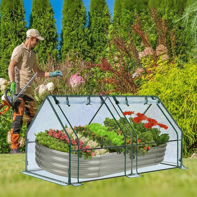 Mini Greenhouse, 6' x 3' x 3' Portable Greenhouse with Zip Door and Roll-up Windows, Indoor Outdoor Plant Gardening Green House, Durable PE Clear Cover Small Hot Houses for Flower, Vegetables