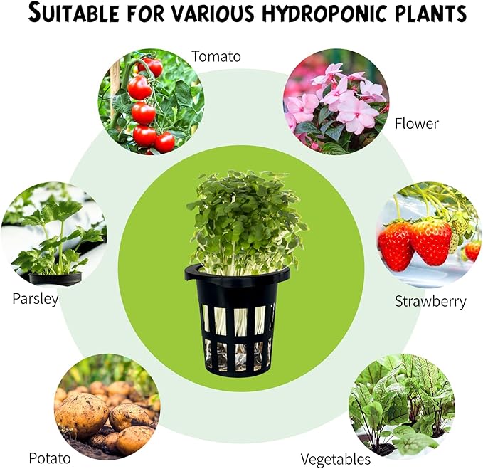 72 Pcs 1.2-Inch Rockwool Cubes with Net Cups and Self-Watering Cord for Hydroponics Great Hydroponic Kit for Cuttings Clone Plant Propagation Seed Starting Soilless Cultivation