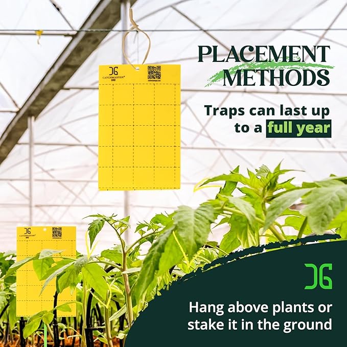 Catchmaster GRO Yellow Large Double Sided Sticky Traps 50PK, Adhesive Bug & Fruit Fly Trap, Pest Control for Home, Farm, Garden, Hydroponics & Greenhouse, Protect Live Plants Indoor & Outdoor