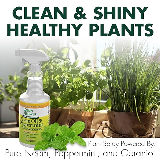 Neem Oil Spray for Plants with Peppermint Oil, Natural Plant Wash Made for Indoor and Outdoor Plants Smart Grower 16oz Easy Ready to Use Spray