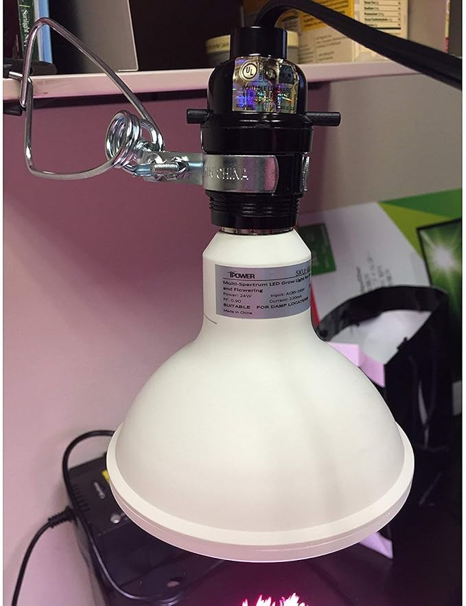 Simple Deluxe Plastic HIWKLTCLAMPSOCKETX6 6-Pack 18/2-Gauge Brooder and Heat Clamp Lamp with Bakelite Socket 150 Watt 6 Feet Cord