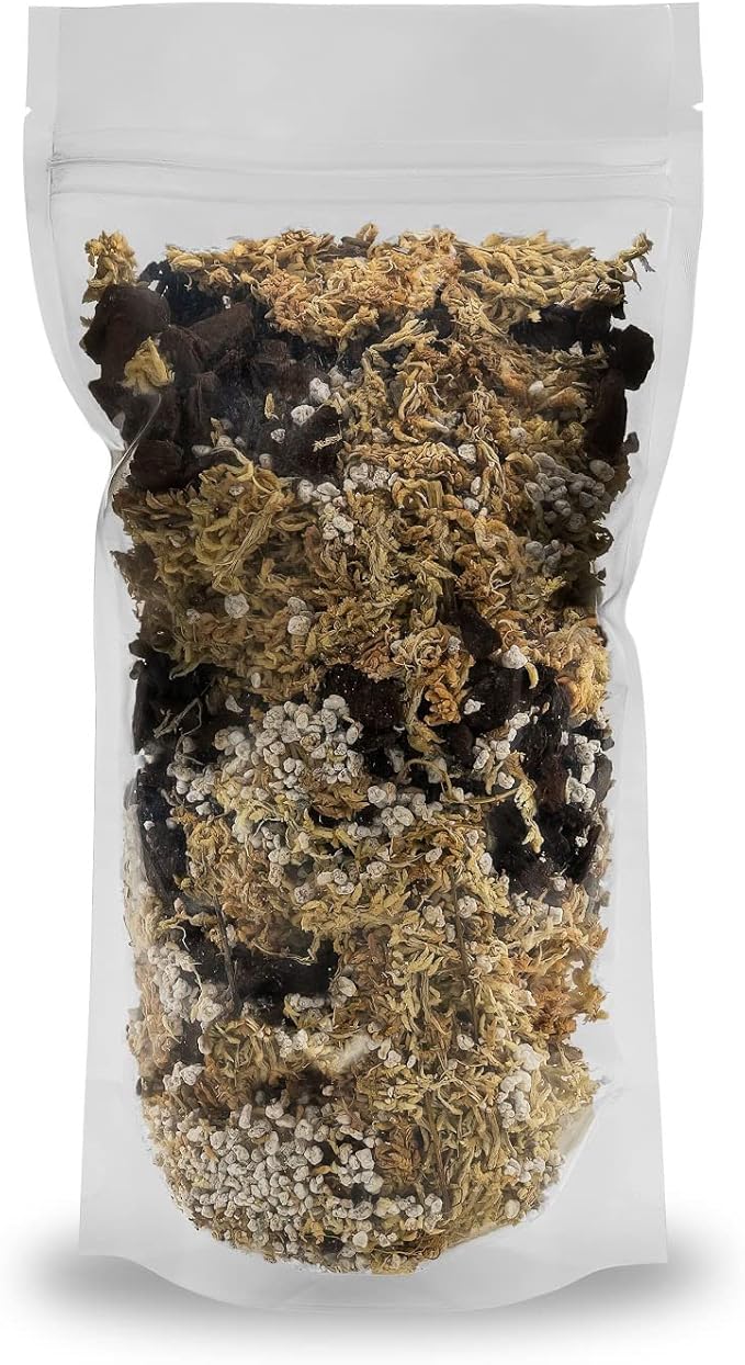 Premium Preserved Reindeer Moss for Potted Plants, Terrariums, Fairy Gardens, Arts and Crafts or Floral Decor Design in Natural (4 Quart Bag)