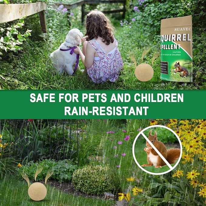 Squirrel Repellent Outdoor, Chipmunk Repellent for Attic/Garden/Bird Feeders/Plants/Cars, Deterrent Squirrels, Keep Chipmunks Away-4P