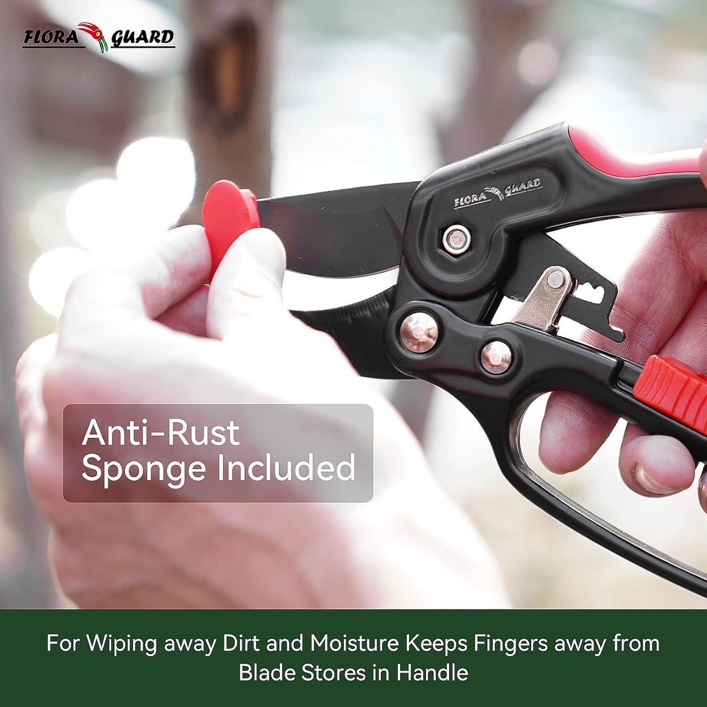 FLORA GUARD Ratchet Pruning Shears, Professional Garden Clippers, Increases Cutting Power 3x, Sharp Gardening Scissors, Cutting Rose, Flower, Hedge, Stem, Tree, Perfect for Weak Hands & Arthritis