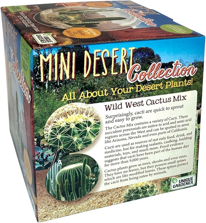 Cactus Succulent Glass Terrarium Starter Kit from Unique Gardener - Grow Your Own Indoor Desert Terrariums - Includes Live Cacti Plants and Easy Setup with Complete Terrarium Supplies