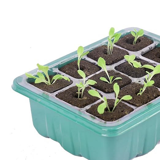 50 Pack Grow Sponges Square Sponge Replacement Part Seedling Starter Sponges for Hydroponic Indoor Garden System Cuttage Rooting Germination Kits