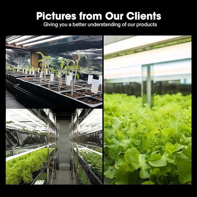 VIVOSUN T5 Grow Light Bulbs 4 Ft 46 Inches, 54W 6500K HO Fluorescent Tubes Light Bulbs, Cool White T5 Bulb for 46 Inches T5 Light Fixtures, T5 Grow Lights for Indoor Plants, 4 Ft 54W Pack of 5