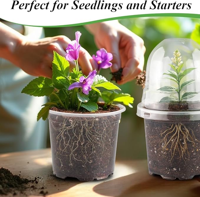 Transparent Nursery Pots 4Inch with Humidity Domes for Seeds Starting, Clear Plastic Plant Pots with Drainage Holes (4Inch, 30Pcs,Clear Pots with Lids)