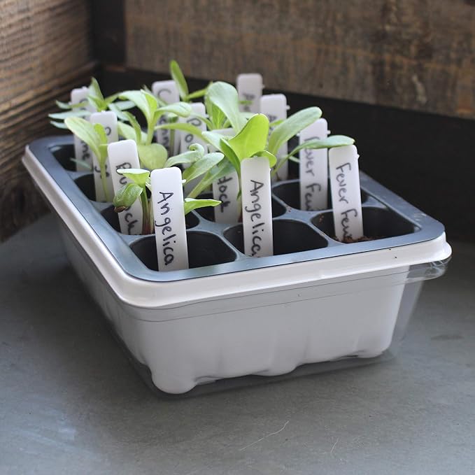 12 Cell Seed Starting Set - Tray, Insert & Dome - Set of 10 - Re-usable Garden Planting Trays - Gardening, Greenhouse & Nursery