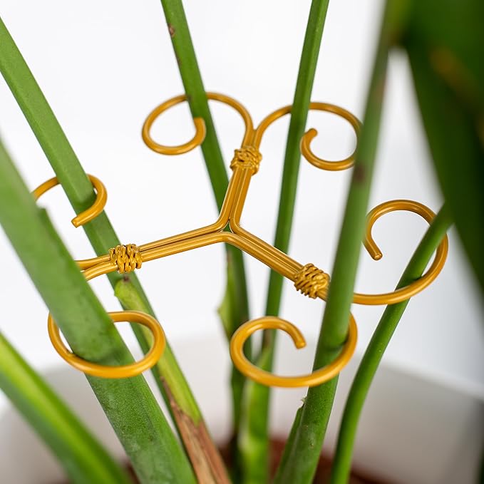 Monstera Plant Support 6-Pack - Durable Iron Clamps with Turtle Shell Design, Plant Supports for Indoor Plants & Climbing Vines, Healthy Growth & Leaf Stabilization