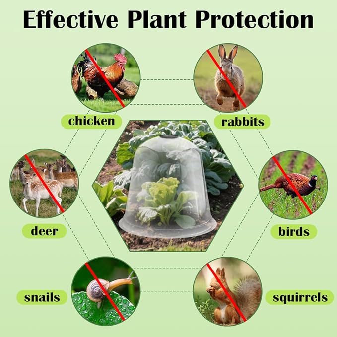 13 Inch Humidity Domes Garden Cloches for Plant Protection, Protectors from Animals, Garden Clear Plant Cover with Ventilation Holes 5 Pack