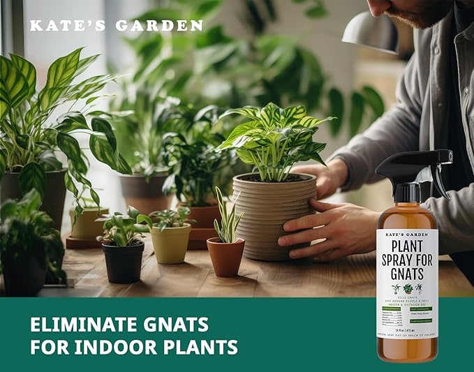 Kate's Garden Plant Spray for Insects & Getting Rid of Gnats. Fungus Gnat Killer & Bug Spray for Indoor Plants (16oz, Pet Safe, Non Toxic)