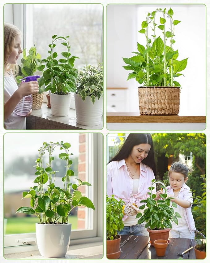 3 Pack U-Shaped Clear Acrylic Garden Trellis, Indoor Plant Support for Climbing Plants, Potted Houseplant Trellis for Hoya, Pothos, Monstera