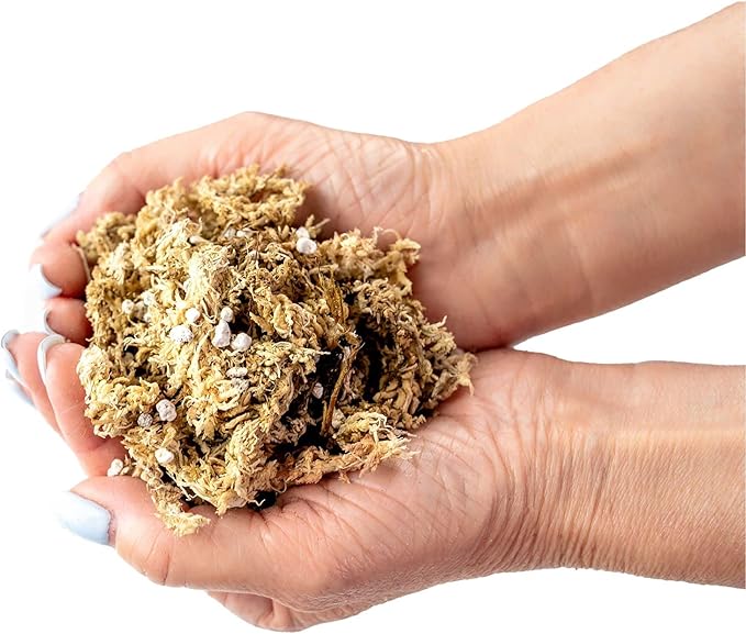 Sphagnum Moss Potting Mix for Carnivorous Plants - 20 Quart - Moss and Perlite Blend for Potting Venus Fly Traps, Sarracenia, Pitcher Plants (4 Bags of 5QT)