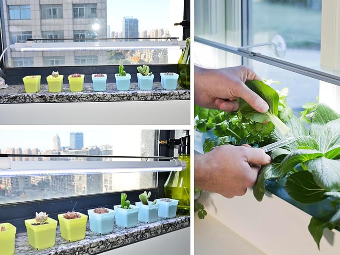 2FT Suction Cup Style Plant Grow Light,12W, LED Grow Lamp Fixture on Wall, Seed Starter kit, 6500K Cool White, Enhanced Blue Light, Height Adjustable, Herbs Growing lamp, IP54