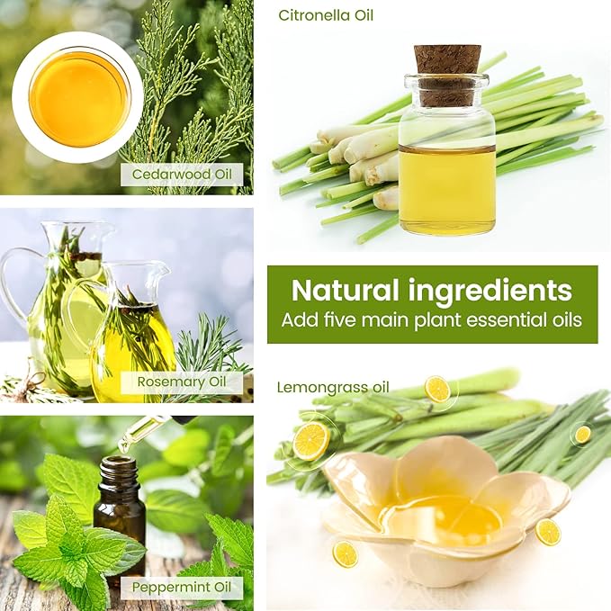 Citronella Incense Cones with 2 Ceramic Dishes | Made with Plant-Based Ingredients | Citronella Oil | Lemongrass Oil | Rosemary Oil | Suitable for Indoor and Outdoor Use (65 Cones)