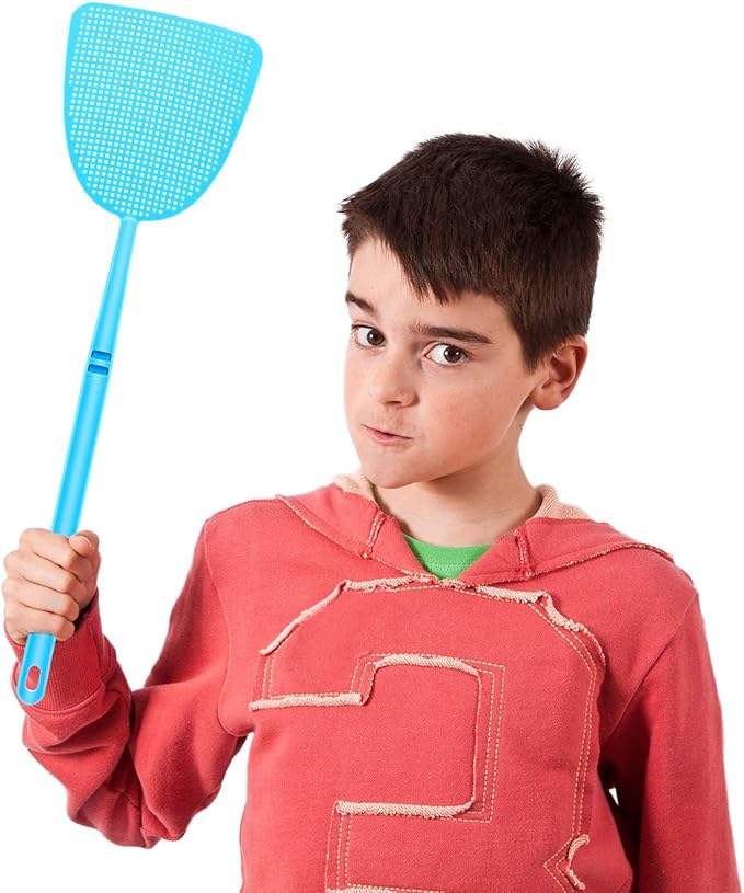 Boao 20 Pcs Fly Swatter Bulk Plastic Colorful Strong Flexible Manual Fly Swat Set Long Handle Durable Bug Swatter for Indoor and Outdoor