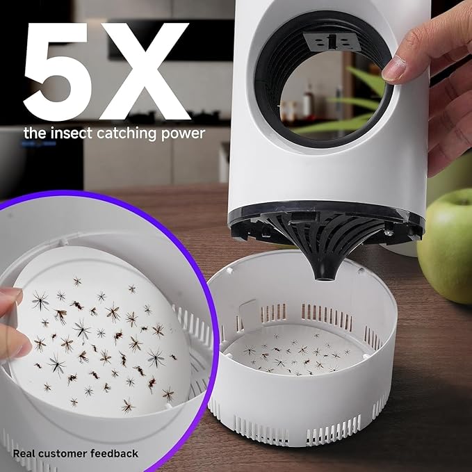 Flying Insect Trap, Fruit Fly Trap for Indoors, Fly Traps Indoor for Home Gnat Traps House Indoor, Bugs Pest Trap with Super Strong Suction and Quiet Operation, 5 Sticky Glue Boards