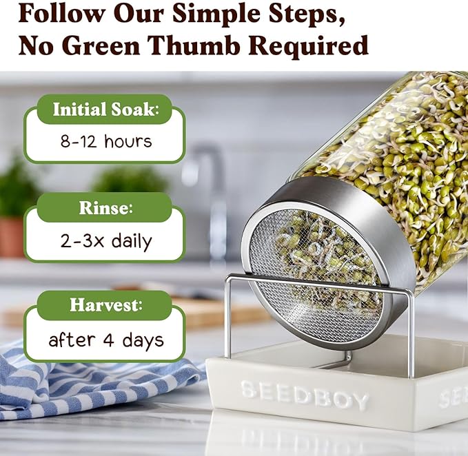 Seedboy Organic Mung Bean Seeds for Sprouting - Non-GMO, USDA Organic Sprouting Seeds Mix - Makes 5 Quarts of Sprouts, 15 Servings (8 oz) (Mung Bean)