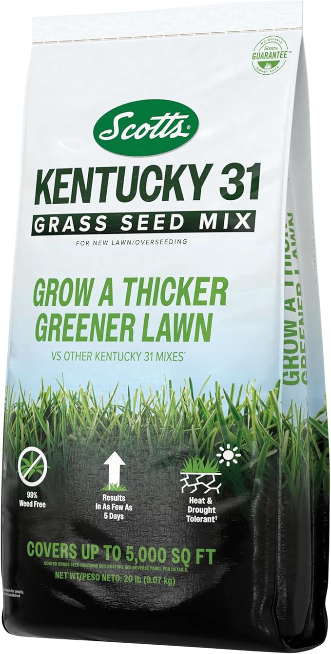 Scotts® Kentucky 31 Grass Seed Mix, for New Lawns or Overseeding, Results in as Few as 5 Days, 20 lbs.