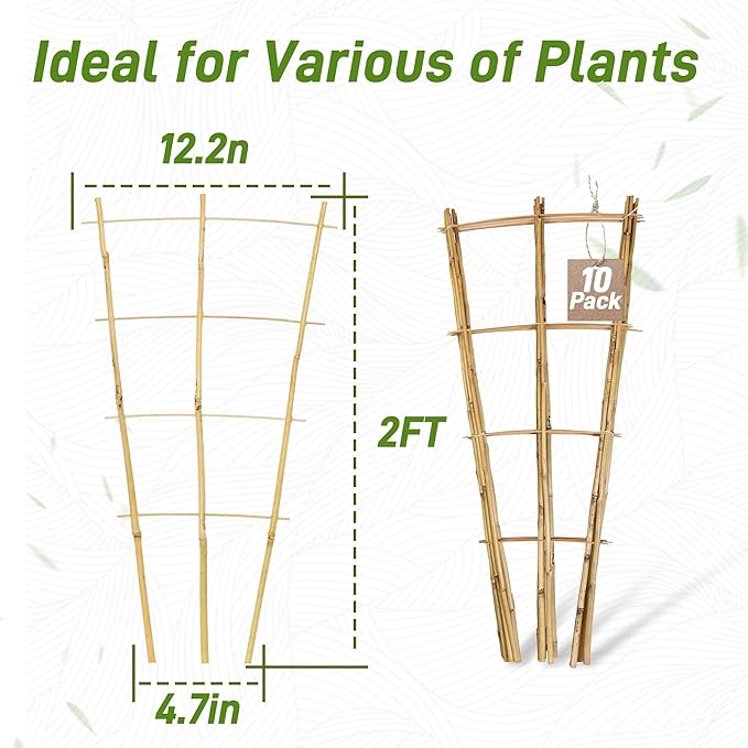 Avalution 10 Pack Bamboo Trellis for Climbing Plants, 2 FT Garden Ladder Trellis for Potted Plants Indoor, Fan-Shaped Small Plant Support Trellis for Houseplants Ivy Hoya Vine Monstera