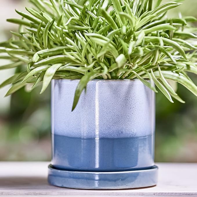 CHIVE ‘Minute’ Ceramic Planter Pot — Cute 5” Colorful Succulent Pots for Indoor & Outdoor House Plants — Beautiful Modern Farmhouse Kitchen Decor — Blue Aqua