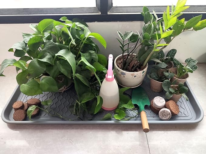 Biodegradable Peat Pots for seedlings, 100 Pack Plant Seed Starter Pots Kit, 2.36inch Succulent Planter Nursery Pots with 10 Plant Markers, Garden Germination Kits