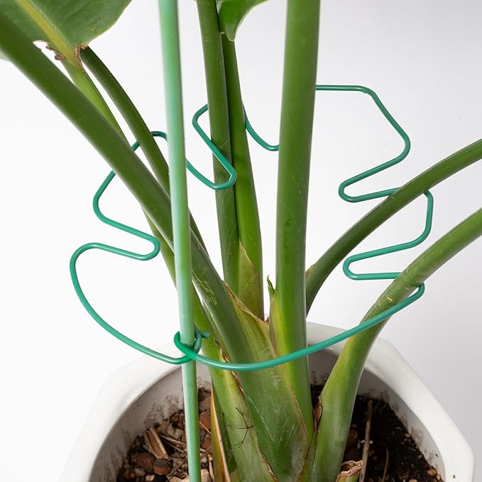 5PCS Monstera Plant Stem Support 7.3*6.25IN Adjustable Holder for Indoor Plants, Durable Metal Structure with Gentle Clips, Perfect for Fishbone Cactus & Climbing Plants, Ideal Gardening Gift
