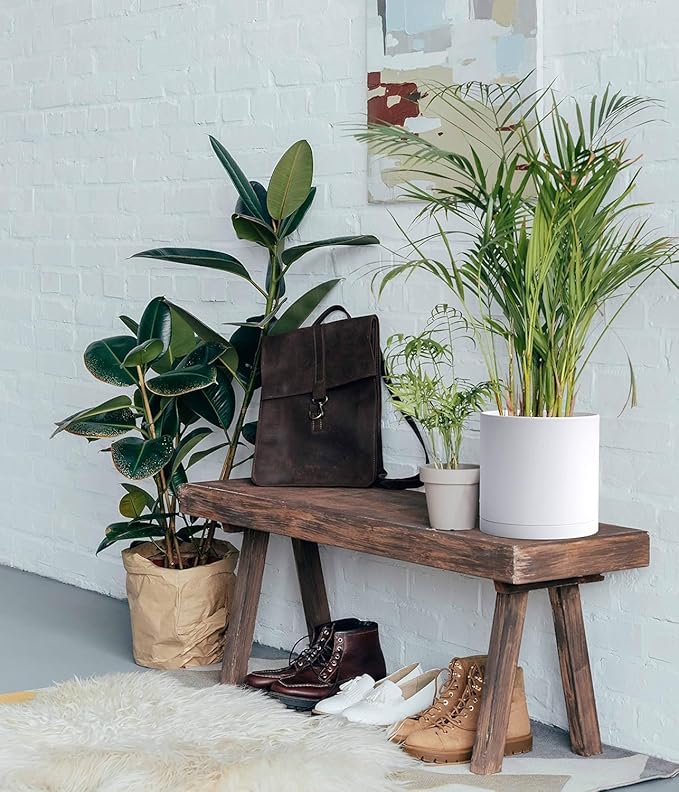 D'vine Dev 2 Pack 8 Inch Modern Plastic Plant Pots, Cylindrical Garden Planters for Plants with Drainage Holes and Saucers, White, 74-Z-M-1