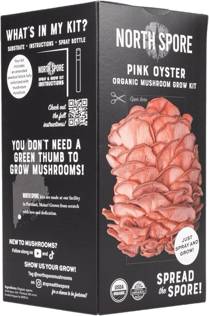 North Spore Organic Pink Oyster Mushroom Spray & Grow Kit (4 lbs) | USDA-Certified Organic, Non-GMO, Beginner-Friendly & Easy to Use | Handmade in Maine, USA