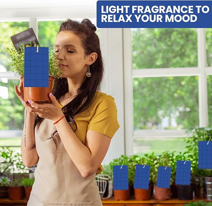 Qualirey 100 Pcs Sticky Trap for Gnats 3 x 5'' Dual Side Sticky Fruit Fly Trap with Tie Plant Sticky Trap for Flying Insect Fungus Bugs Flying Sticky Trap Sticky for Indoor (Dark Blue)