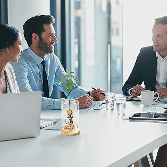 Bylion Avocado Tree Growing Kits, Avocado Growing Vase Wooden Base Avocado Seed Starter Vase Glass Plant Pot Easy Seed Sprout Starter Gift for Women Gardening Lovers Home Office Table Decoration