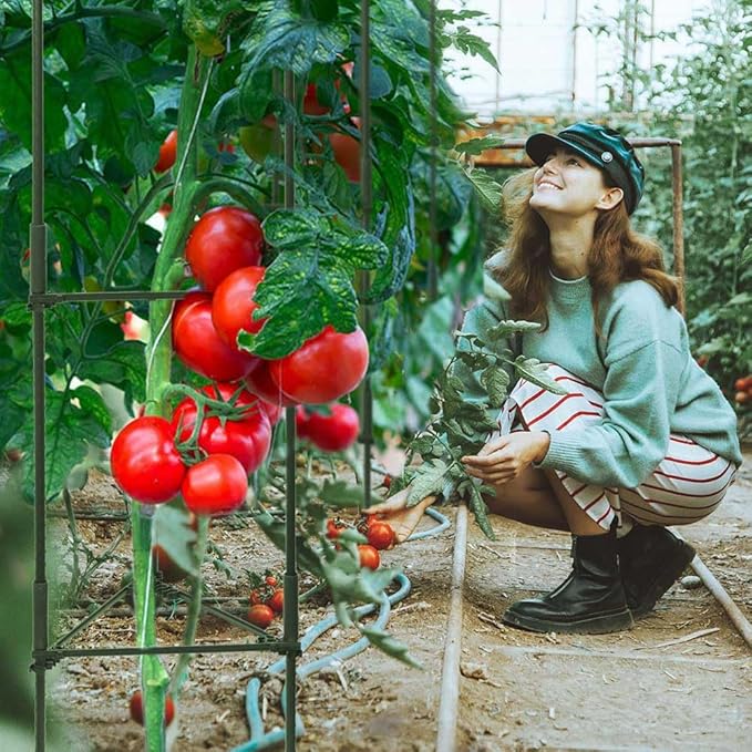 6 Package up to 48in Tomato cage Garden Grid Plant Support Posts with Adjustable Tomato cage Vegetable Grid (6pack)