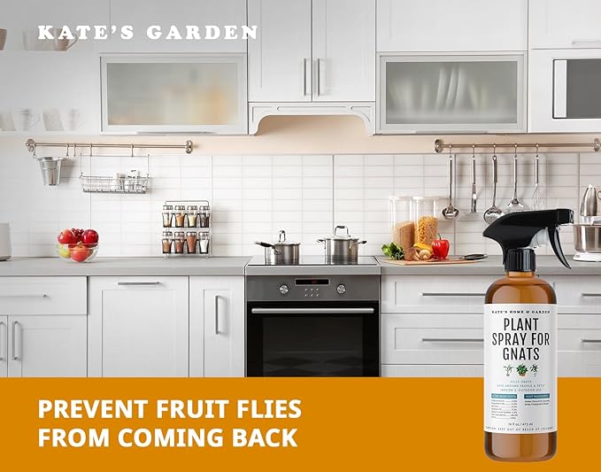 Kate's Home & Garden Plant Spray for Insects & Getting Rid of Gnats with 12 Sticky Traps. Fungus Gnat Killer & Bug Spray for Indoor Plants (16oz, Cedarwood, Pet Safe, Non Toxic)