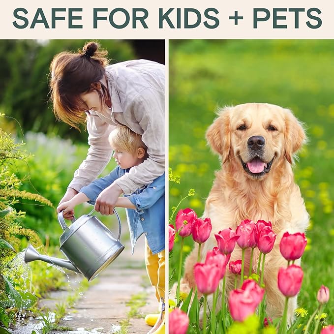 Organic Fungicide Liquid Concentrate for Indoor, Outdoor, and House Plants – Natural Fungicide for Plants, Lawn Fungus Treatment, Powdery Mildew Control, Mushroom Lawn Treatment, Spider Mite Defense