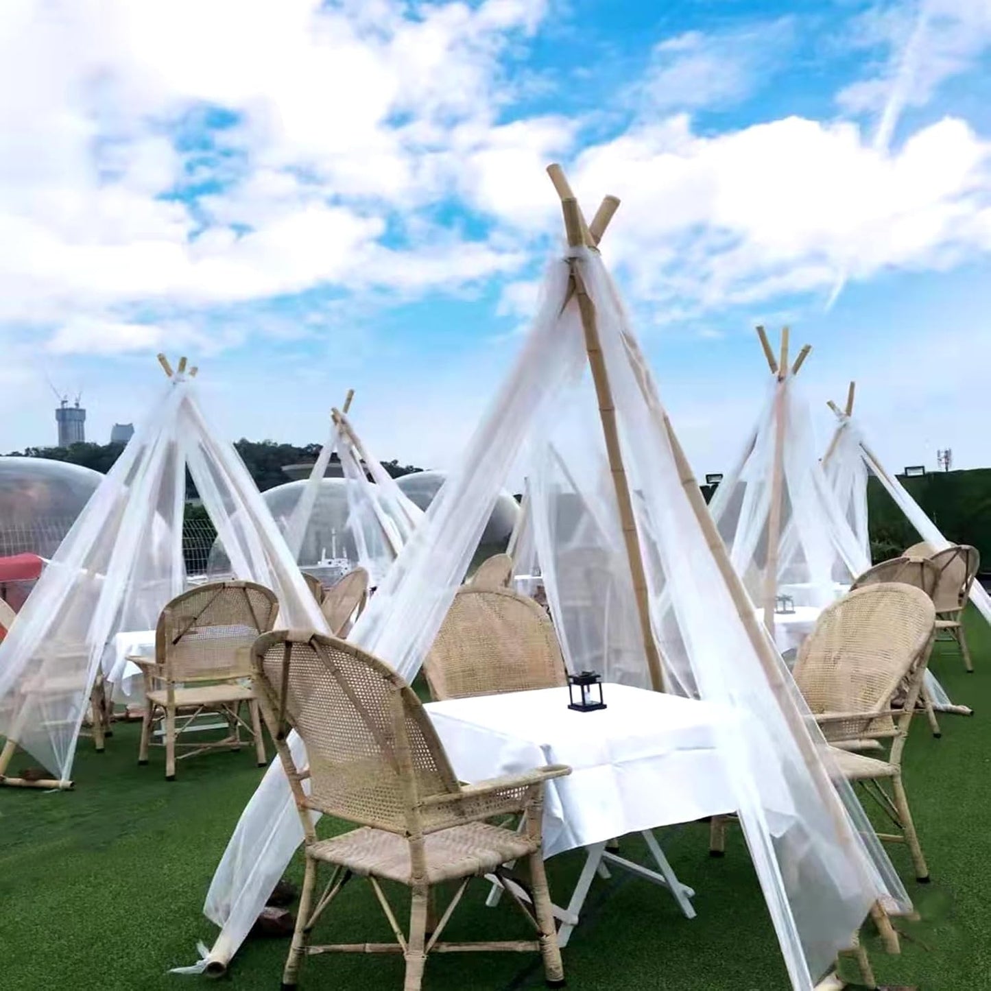 Bamboo Stakes 8 Feet, Diameter of 1 Inch Thicker Garden Stakes, Natural Plant Stakes for Tomatoes, Cucumbers, Grape Vine Climbing Plants Support and Natural Decoration - 10 Pack Bamboo Poles