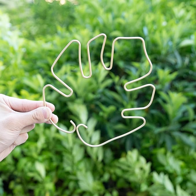 5PCS Plant Stem Support - Durable Monstera Stabilizer Grapple Holder, Unique Design for Climbing Plants, Turtle Shell Bamboo Clamp Set, Ideal Plant Support for Thriving Growth (Gold)