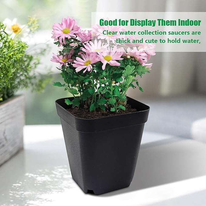 Square Nursery pots 4 Inches 60Pcs, Seedling Plastic Seeds propogation Growing Pots (Black,4Inches,60Pcs)