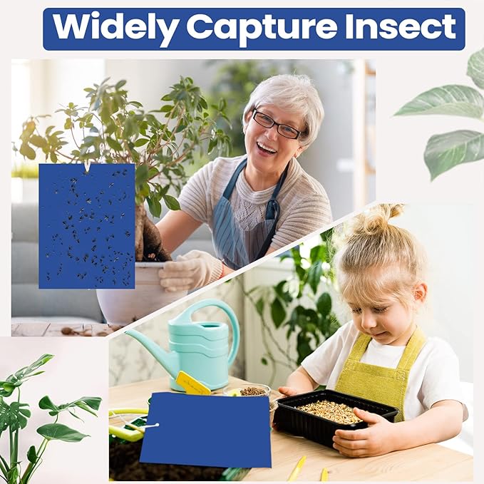 Qualirey 50 Pcs 6 x 8 Inch Sticky Traps for Plant Double Sided Sticky Trap for Gnats with Twist Ties Fly Traps for Fruit Insect Fungus Bugs Indoor Outdoor (Blue)