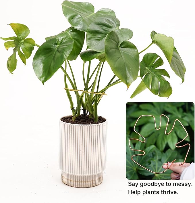 6PCS Monstera Plant Stem Support, Monstera Stabilizer Grapple Holder Unique Design for Turtle Shell Bamboo Clamp Set, Ideal Plant Support Stakes for Thriving Growth Indoor Climbing Plant (Copper)