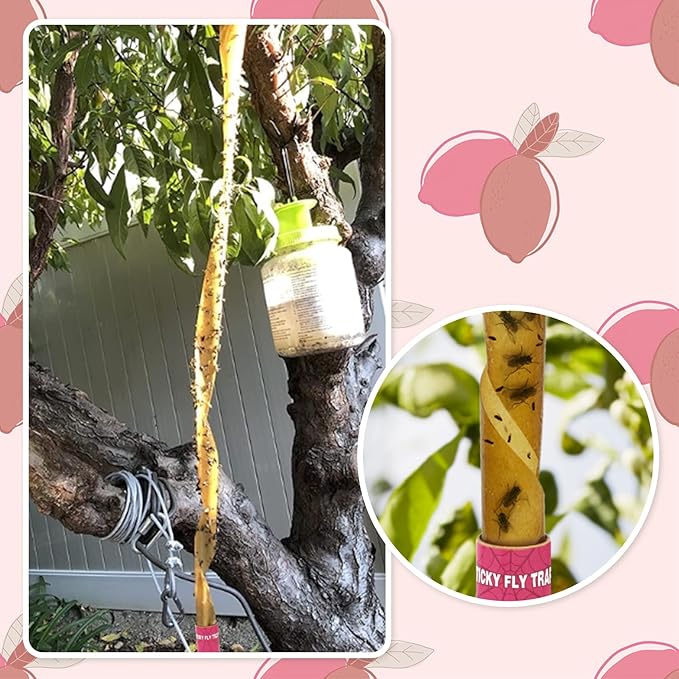 40 Pack Fly Trap, Fruit Fly Traps for Indoors, Fly Traps Outdoor Hanging, Flying Insect Trap, Fly Strips Tape Paper Ribbon, Gnat Traps for Bug, Insect, Pest, Mosquito, Pink