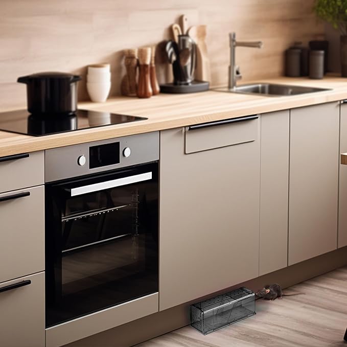 Humane Mouse Trap Pack of 4 - No Kill - Live Mouse Traps Indoor for Home Use - Reusable Rodent Traps for House Indoor, Safe & Effective Rat Trap Outdoor - Humane Mice Control with Cleaning Brush