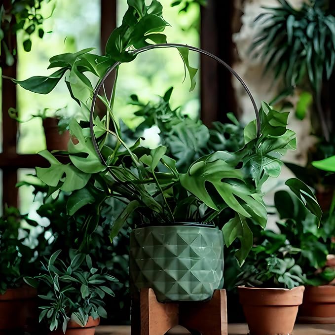 10 Pcs Black Iron Circle Trellis for Potted Plants, Indoor/Outdoor Plant Support Frames for Climbing Plants, Roses, Peas, Morning Glories