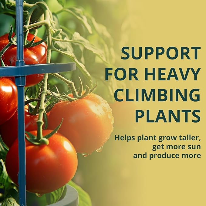 Small Tomato Cage for Pots Mini Tomato Cage Trellis 9'' Each 36'' in Total with Gloves