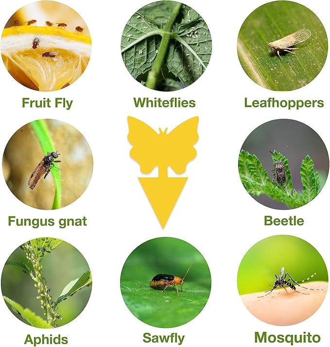 54 Pack Fruit Fly Trap for Indoor, Gnat Traps for House Indoor, Fungus Gnat Killer Sticky Traps for Plants, Mosquitoes, Flying Insects