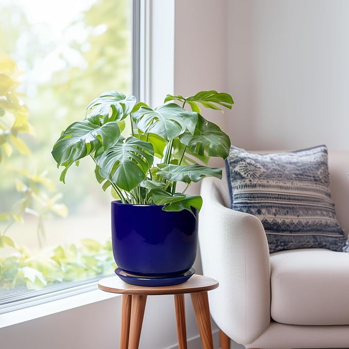 8 Inch Ceramic Plant Pot - Decorative Round Planter for Indoor Plants with Drainage Hole and Saucer, Home House Room Office Garden Decor, Blue