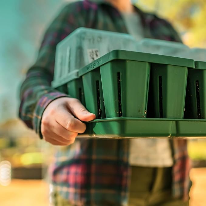 Vego garden Seedling Suite Products, 4 Pack Standard Seedling Trays with Seedling Tray Lids and 10" x 10" Bottom Watering Trays